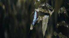 Disucikan oleh Kristus Disucikan oleh Kristus