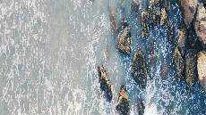 Penuh Kehausan dan Rasa Syukur Penuh Kehausan dan Rasa Syukur