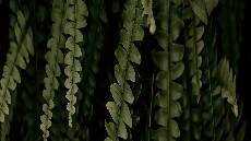 Mengucap Syukur kepada Allah Mengucap Syukur kepada Allah