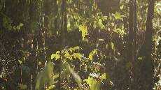 Dosa dan Berhala Dosa dan Berhala