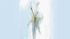 Memberi dengan Kebesaran Hati Memberi dengan Kebesaran Hati