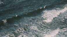 Dilema dan Iman yang Makin Teguh Dilema dan Iman yang Makin Teguh