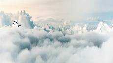 Sahabat bagi Orang Kesepian Sahabat bagi Orang Kesepian