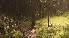 Baru dan Pasti Baru dan Pasti