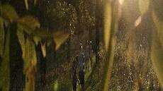 Kaya dalam Kebajikan Kaya dalam Kebajikan