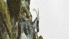 Itu Bukan Urusanmu feeds GKJW Itu Bukan Urusanmu feeds GKJW