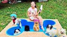 Puppy Spa Day Dog Bathing and Grooming Little Big Toys