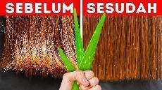 Kiat Rambut Cerdas dan Tips Kecantikan untuk Menghemat Waktu dan Uangmu