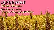 LALANG GANDUM IBADAH MINGGU HARI RAYA PERSEMBAHAN PEMBUKAAN PEKAN WANITA 2020 GKJW RANUREJO