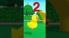 Widdle Waddle with 6 Little Ducks LBB animal naturesong Widdle Waddle with 6 Little Ducks LBB animal naturesong