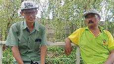 Ibadah Perayaan Tahun Baru 2021 GKJW Jemaat Trosobo