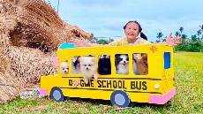 Bugs Puppy Farm Field Trip Little Big Toys