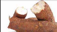 17 Produsen Tiwul Instan Rasa Manis Gula Merah Asli Makanan Tradisional sehat