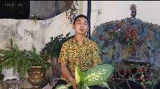 Ibadah Keluarga Jemaat GKJW Trosobo 21 Agustus 2020