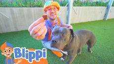 Blippi Learns About Animals For Kids At The Animal Shelter Educational Videos For Toddlers