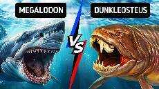 Monster Laut yang Akan Membuatmu Bertanya tanya Apa yang Mereka Makan Monster Laut yang Akan Membuatmu Bertanya tanya Apa yang Mereka Makan