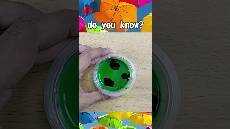 30 guess the color feeds GKJW