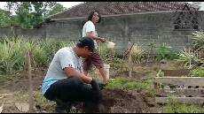 Sabda Pangon 19 Oktober 2020 A UKIL NGEMIL