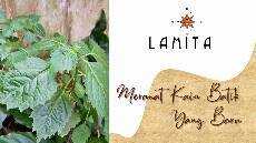 Merawat dan mempertahankan kain batik agar warna bertahan tidak mudah pudar 2 Sentra Etnik