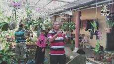 Sabda Pangon 30 Juli 2020 Pendeta MD BESTIM TAMAN BUNGA