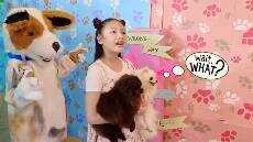 Bug and Pets go through the Maze Puppies Adventure Little Big Toys