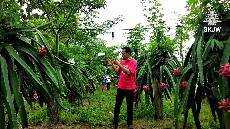 Sabda Pangon 24 Juli 2020 Pendeta MD BESTIM MILIH SING APIK