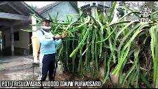 Sabda Pangon 13 Agustus 2020 Pendeta MD BESTIM DITUNGGU PULIHE