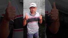 Ikan segar untuk konsumsi Ikan segar untuk konsumsi