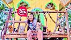 Bug opened a restaurant for Pets a