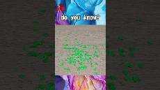 SKW 017 name the color