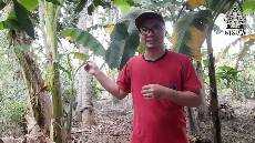 Sabda Pangon 5 Agustus 2020 Pendeta MD BESTIM BONGKOK LAN KLARAS