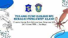 Tulang cumi cumi sebagai pengawet alami GKJW Feeds