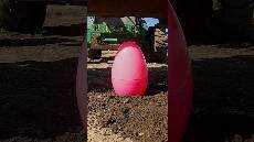 Crushing Mystery Eggs MORE with an Excavator Fun Experiments shorts blippi