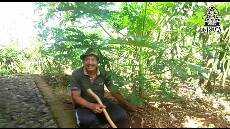 Sabda Pangon 23 Juli 2020 Pendeta MD BESTIM DADIA KAYA OYOT