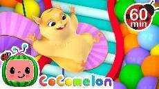 Hamster vs Maze a Hamsters Great Escape a MORE CoComelon Nursery Rhymes Kids Songs GKJW Feeds
