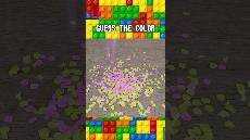 SKW 016 what color appears