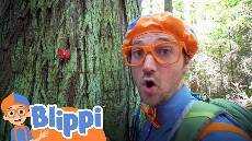 Learning Nature On A Hike With Blippi Educational Videos For Kids