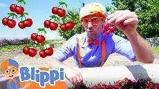 Blippi Visits a Cherry Farm Healthy Eating For Children Educational Videos For Kids