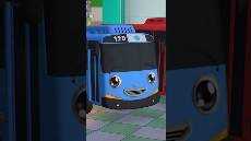 Aku akan membantumu Big Shorts TayoBahasaIndonesia