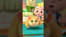 Amazing Hamster Tricks with Jellybean cocomelon shorts