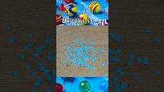 SKW 018 guess the color