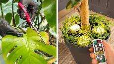 Trik Sederhana Untuk Menanam Tanaman