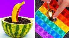 Trik dan Kiat Berkebun Luar Biasa untuk Pecinta Tanaman U