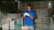 Sabda Pangon 1 Agustus 2020 Pendeta MD BESTIM NDOG BONOR