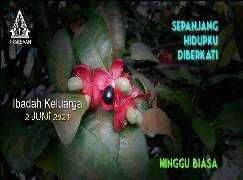  vi az5zhldmokm maxresdefault  - cdn GKJW.org