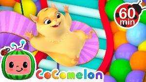 Hamster vs Maze a Hamsters Great Escape a MORE CoComelon Nursery Rhymes Kids Songs